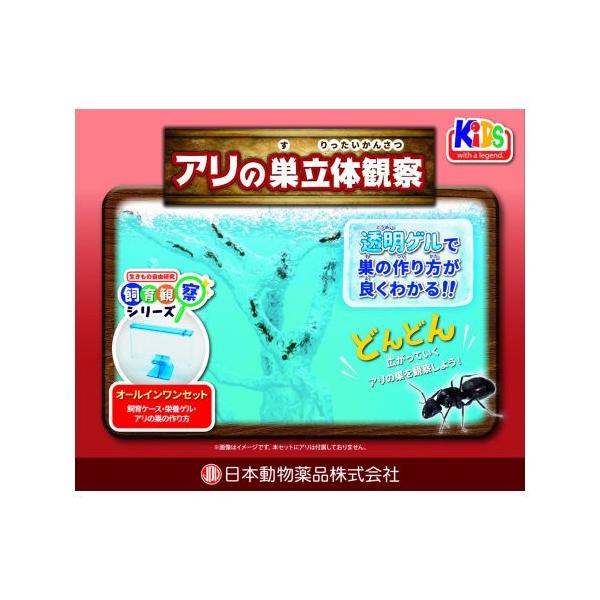 アリの巣立体観察セット 自由研究 飼育観察 アリ 蟻 日本動物薬品