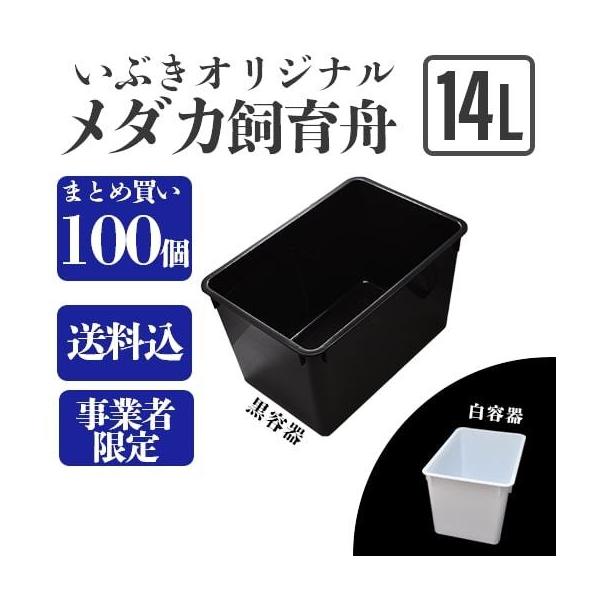 メダカ容器オーバーフロー加工 トロ舟80L 2個セットプラ舟NVボックス