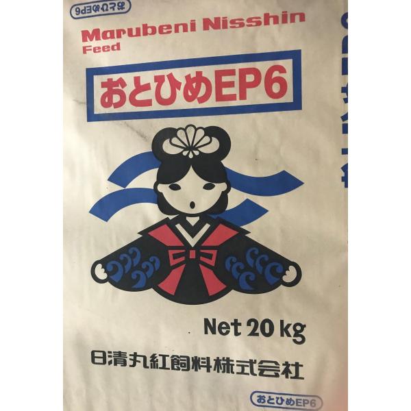 ikkando-oosaka_100040