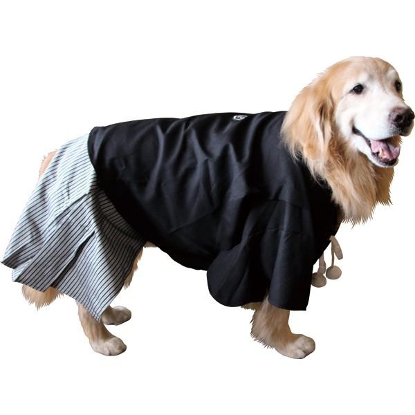 羽織袴（紋付袴）大型犬用8号サイズ（60240） : 大型犬用品専門店