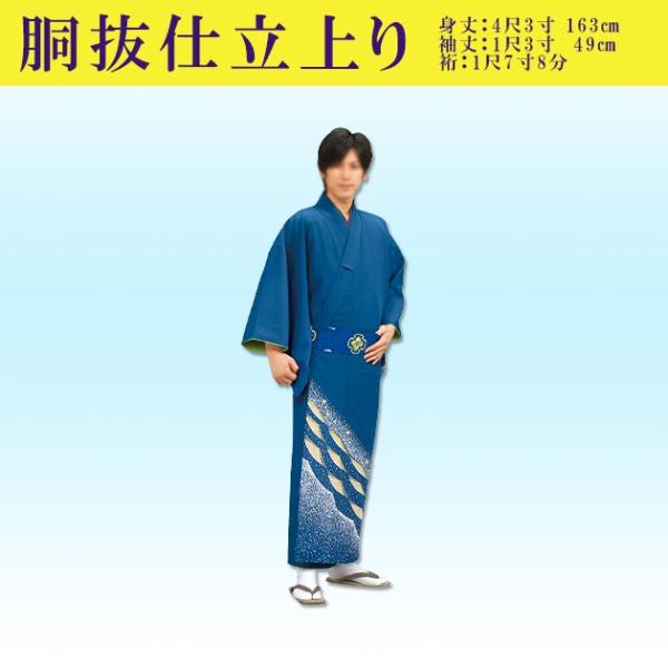 踊り 着物 きもの 優美胴抜き仕立上り洗える着物 訪問着 衣装 青