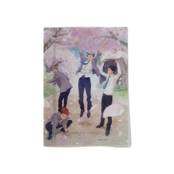 ハイキュー‼︎ クリアファイル 春夏秋冬 白鳥沢 梟谷青 葉城西 音駒