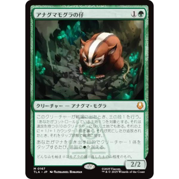 lead-netstore_tlajp212511tt167