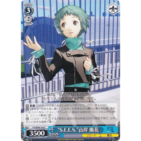 lead-netstore_p3se46172405tt054