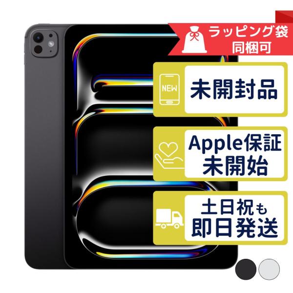 256G 未開封　新品 M5 Pro 11インチ　Wi-Fi iPad