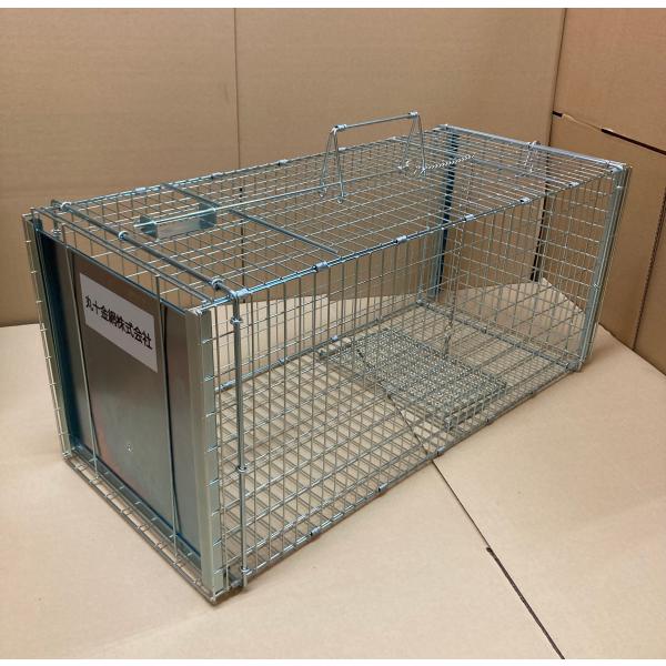 飼い猫専用 ネコ専用 保護器 踏板式 日本製 猫の保護器 アニマル