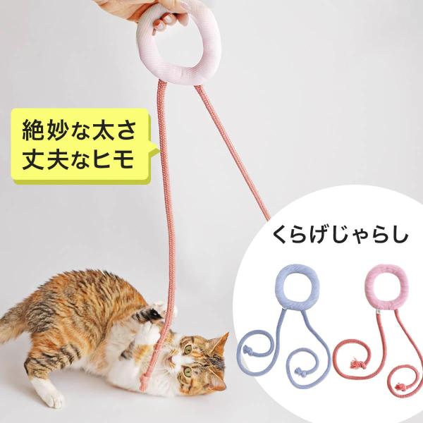 ネコさん専用出品 ネコさん専用出品 Z/X C B07-057 猫は喜び庭駆け回る