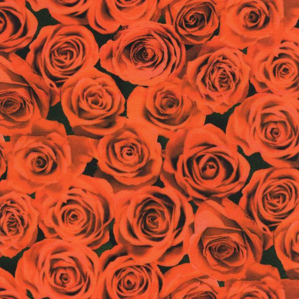 50cm単位 デジタル プリント オックス生地 リアル薔薇 バラ バラ柄