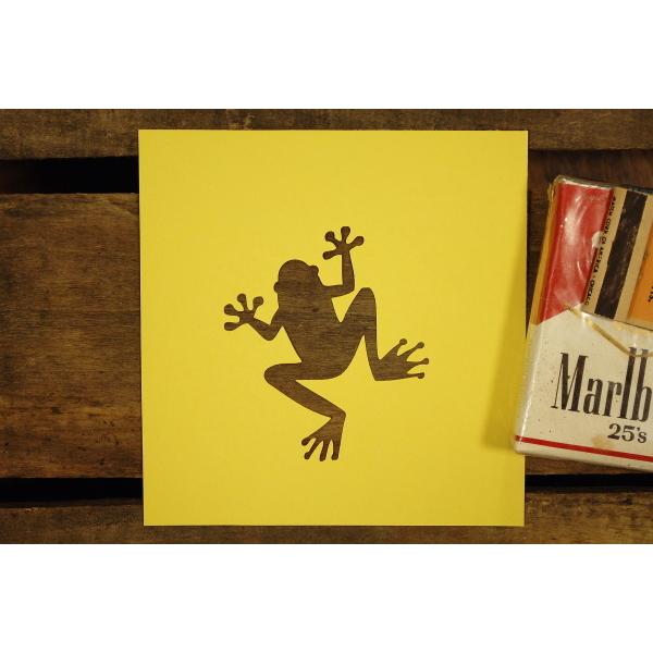 カエルページ】 テンバリーさん 3品 カエルページ】 テンバリーさん 3