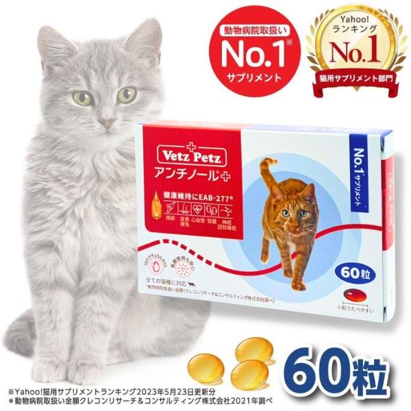 アンチノール プラス 猫用サプリメント 60粒 : セラフィーネット Yahoo