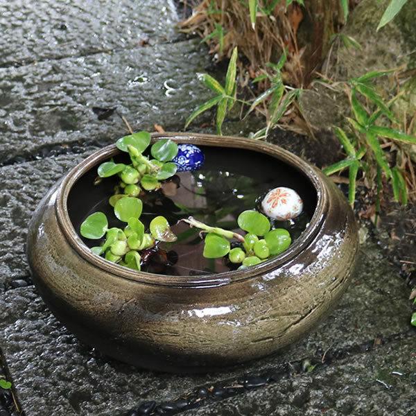 信楽焼 睡蓮鉢 メダカ鉢 めだか鉢 陶器 水鉢 ビオトープ 金魚鉢 信楽焼