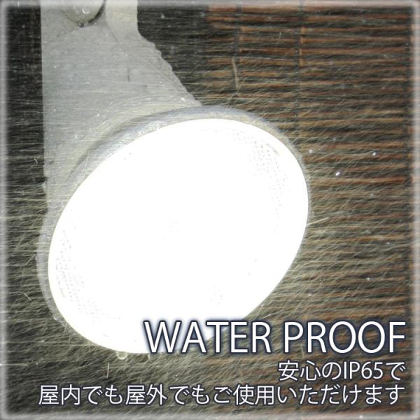 Free! スポットライトカラー 5点セット Free! スポットライトカラー 5