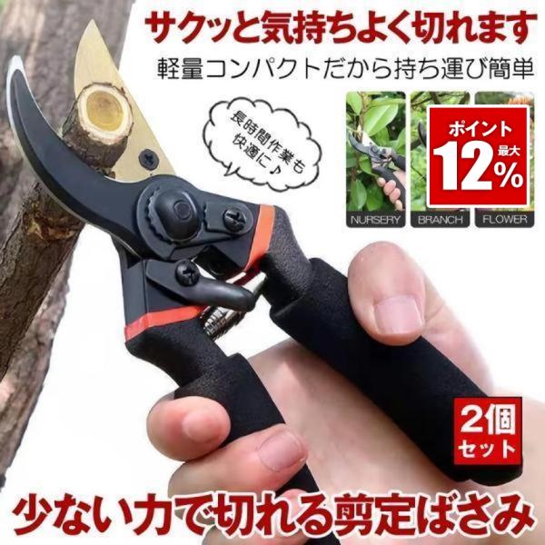 剪定ばさみ ハサミ 枝切りバサミ 剪定はさみ 錆びにくい フッ素