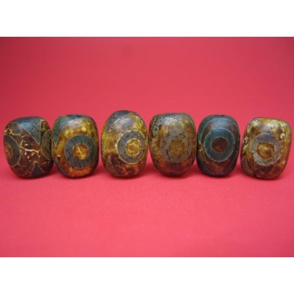 sunflower-shop_set0032