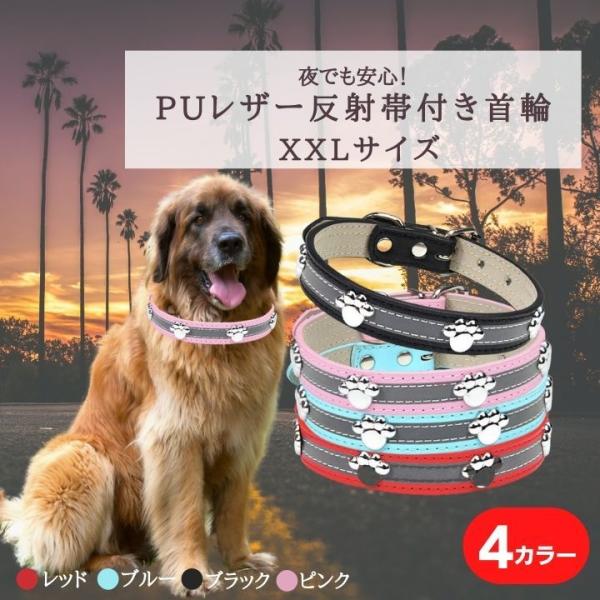 supernatto_sn-shinecolarxxl