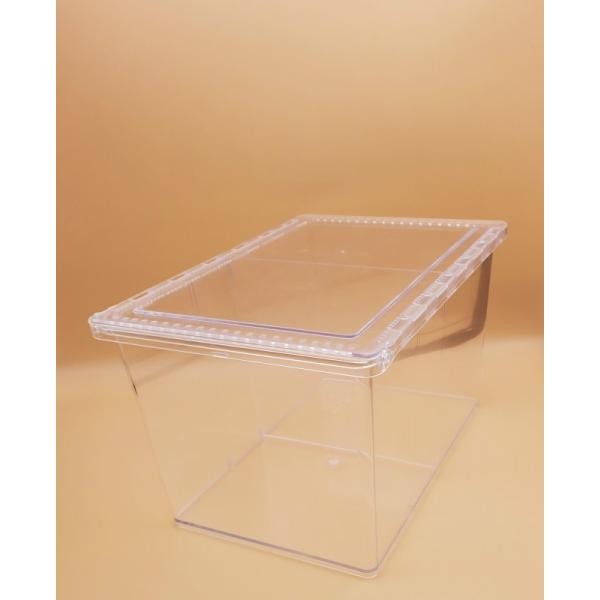 送料無料】クリアースライダー ラージ5個【セパレータ付き】 : ペット