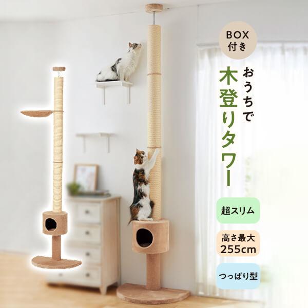 キャットタワー おうちで木登りタワーボックス付き (突っ張り型) 猫