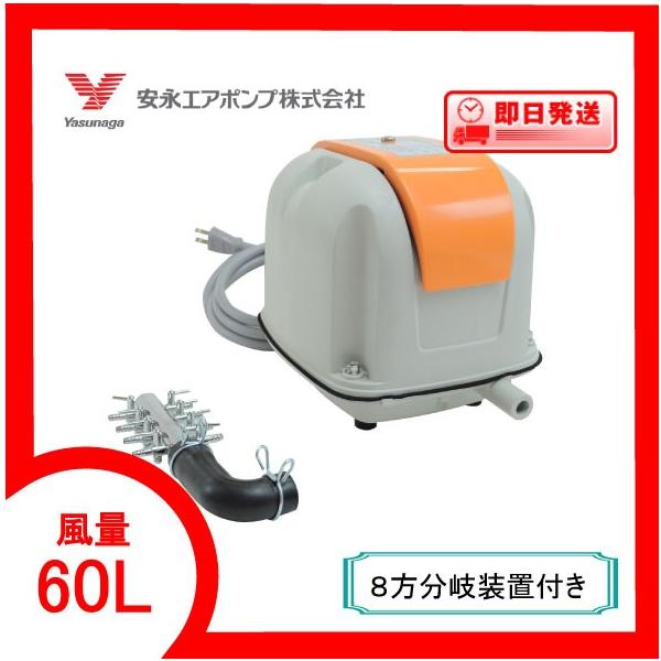 安永エアポンプ AP-60G」の人気商品一覧 | 安い商品を通販サイトから