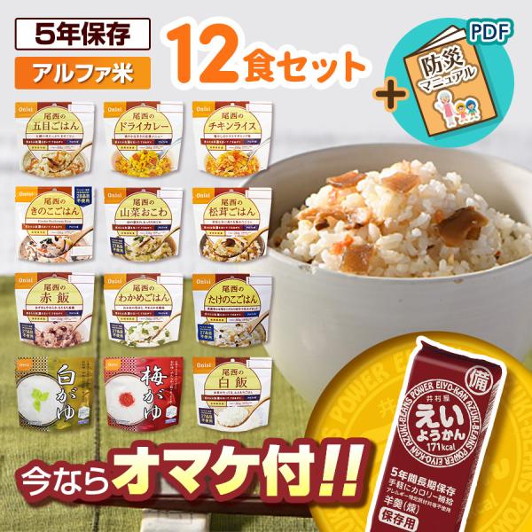 尾西食品 【賞味期限5年以上！】非常食 アルファ米 12種類セット 5年