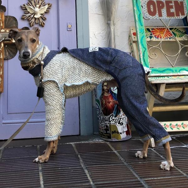 ストレッチデニムサロペット （イタリアングレイハウンド イタグレ