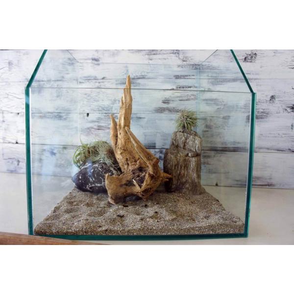 アクアテラリウム 水槽流木。水生植 物 水槽用流木 アクアリウム 盆栽