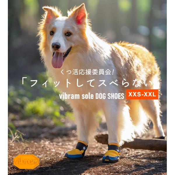 Truelove（トゥルーラブ） 【20%OFF】犬 靴 Vibram 軽量 柔らかい