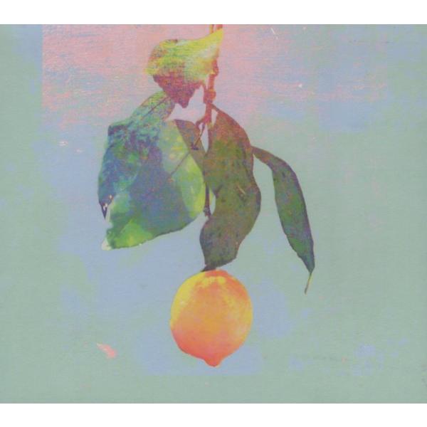 windcolor-y-shopping_b19-srcl-