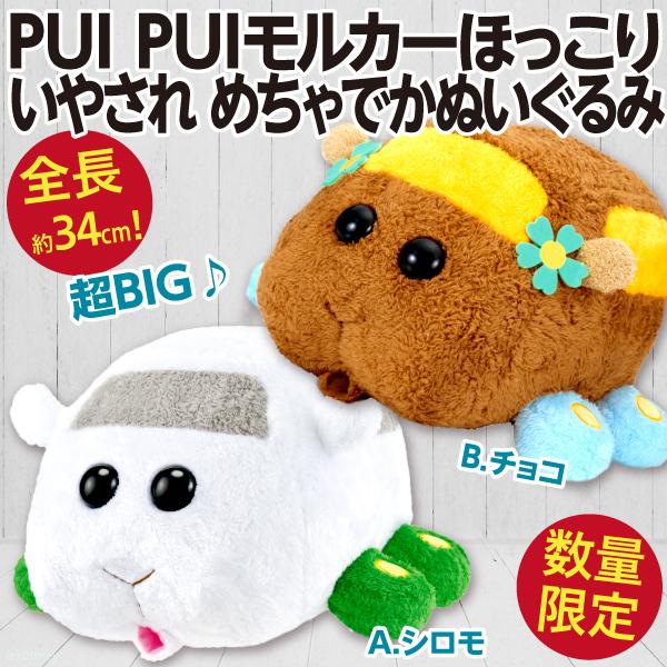 3個 プイプイモルカー テディぬいぐるみ ほっこりいやされ めちゃでか
