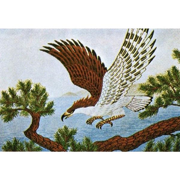 鷹の刺繍額縁 楽天市場】《鷹》本格刺繍の命名額 （額・箱付き