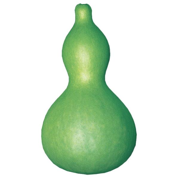 tanemori-netshop_sakata-0155