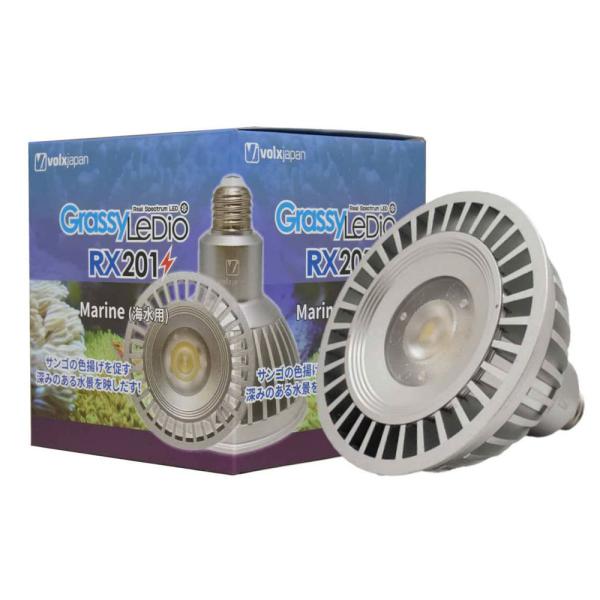 GrassyLeDio RX201 Marine用 LEDライト ボルクスジャパン グラッシー