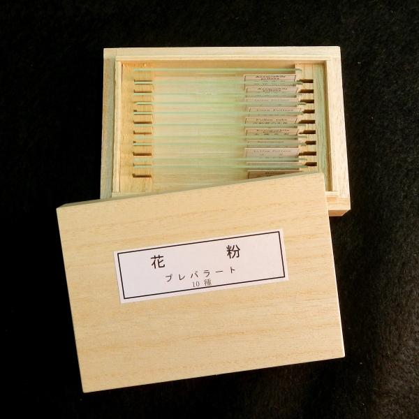 顕微鏡プレパラート 上野科学社製 植物組織 74種 顕微鏡プレパラート