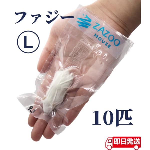 一部地域送料無料☆10匹セット 冷凍ファジー 約5.5cm 爬虫類 冷凍えさ