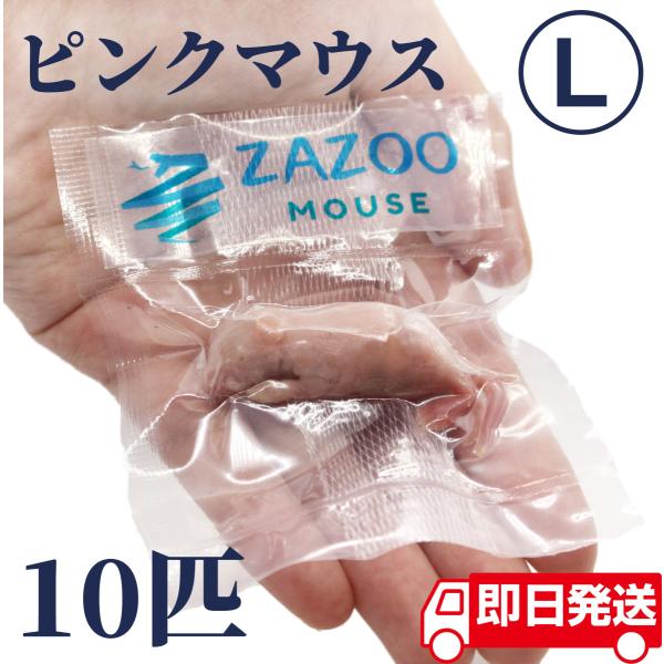 豆 送料無料 冷凍マウスアダルトL30匹ピンクS20匹フタホシ200グラム