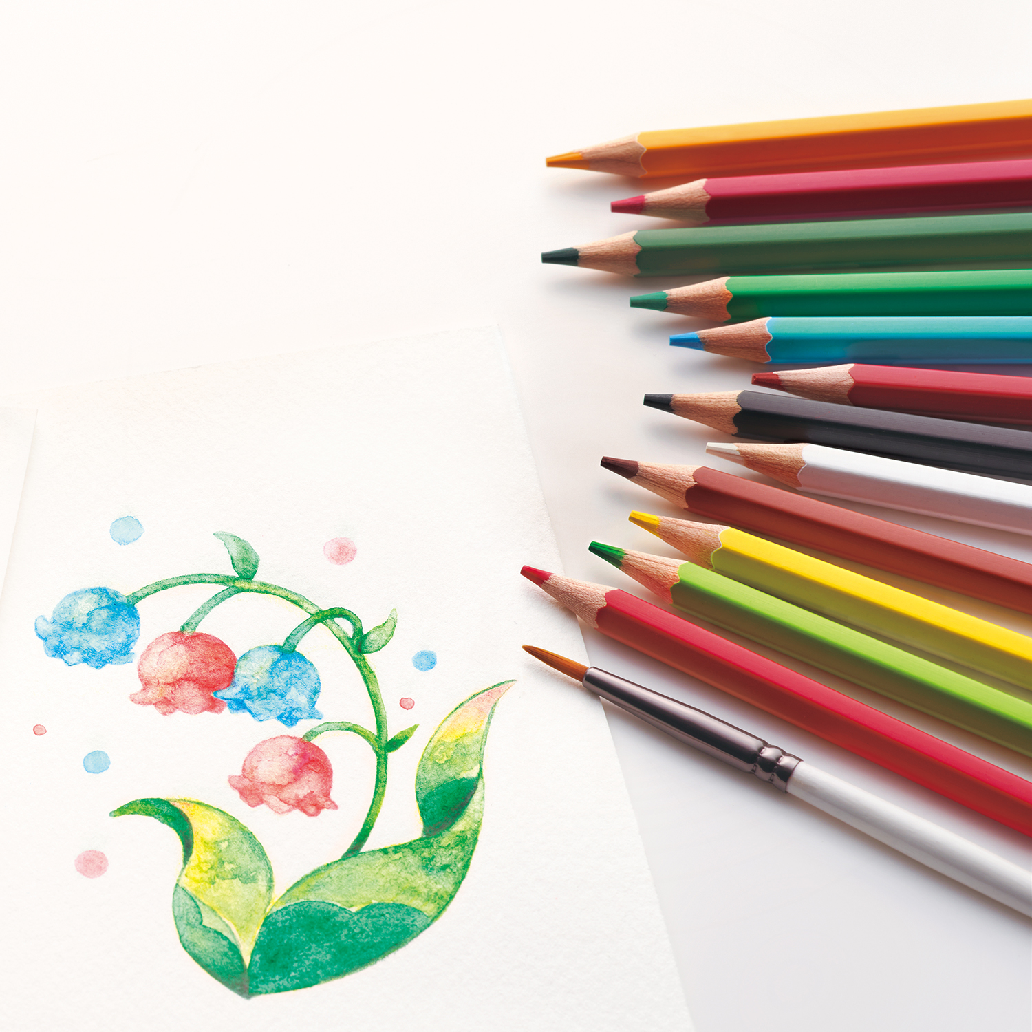 Artline 水彩色鉛筆 12色セット|KCP-W12C/H|商品カタログ|シヤチハタ