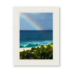 Clark Little(クラークリトル)通販 | GREENROOM GALLERY