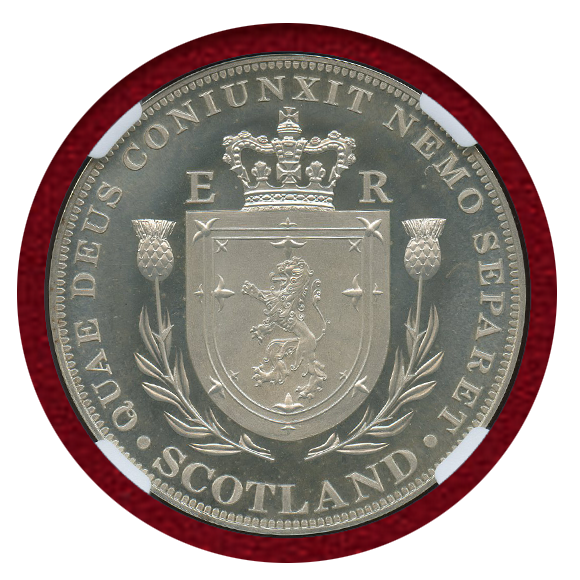 2016(1937) エドワード8世 真鍮貨 記念メダル プレーンエッジ