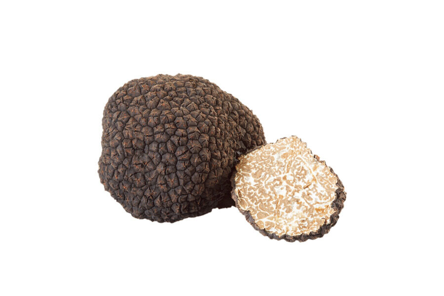 黒トリュフ（サマートリュフ&オータムトリュフ）｜フード｜日欧商事（JET）