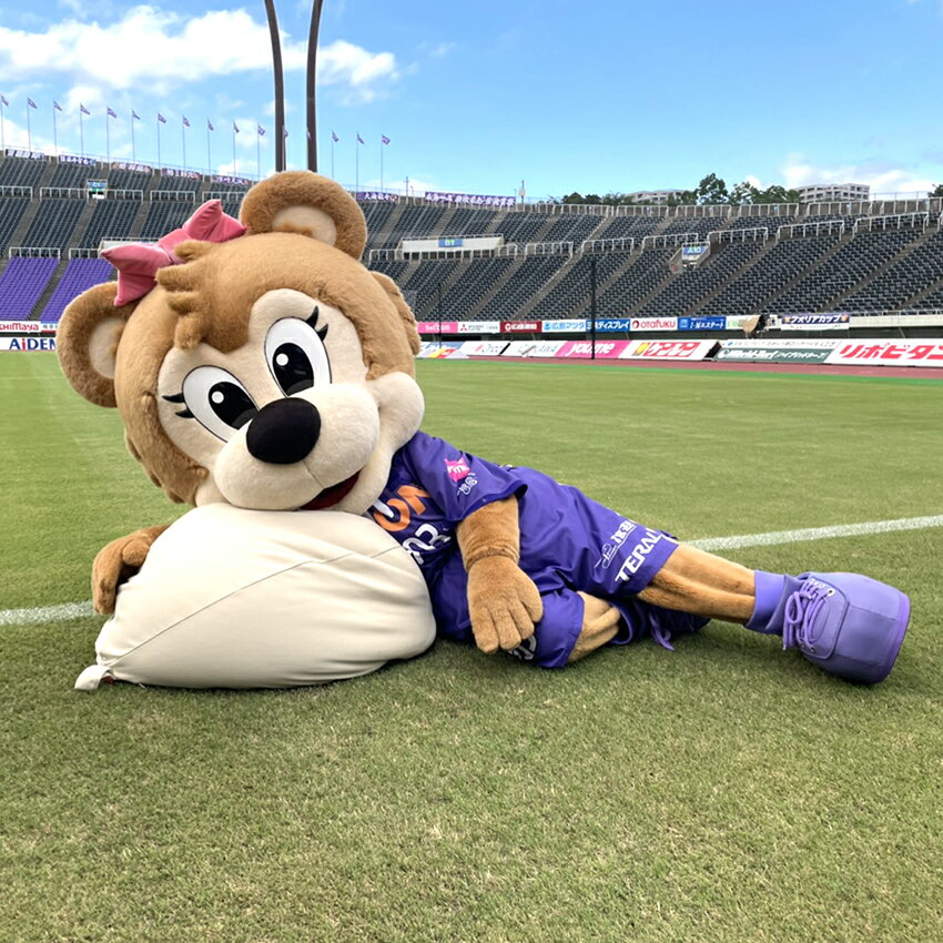 サンフレッチェ広島 人をダメにするクッションコラボ ビーズクッション