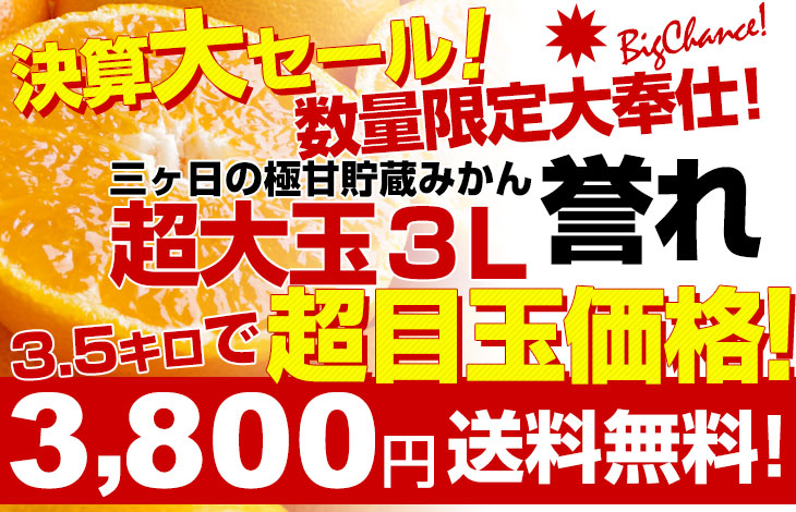 静岡県より産地直送 JAみっかび 三ケ日みかん 誉れ 超大玉3Lサイズ 約