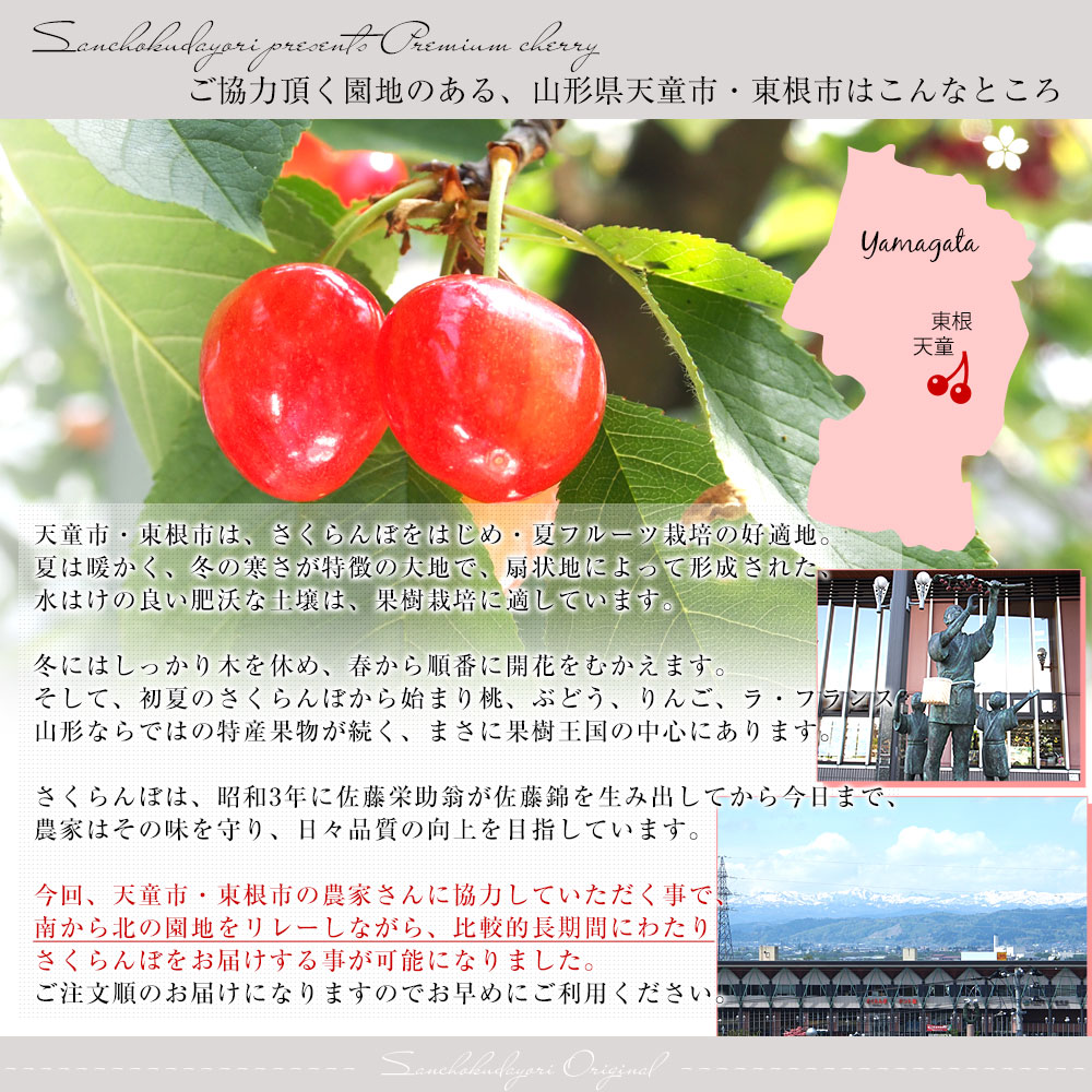 山形県より産地直送 さくらんぼ佐藤錦 大粒Lサイズ 秀品1キロ (500g×2P
