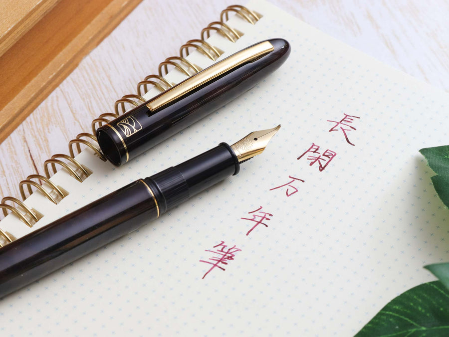 値引】WANCHER ワンチャー ベークライト 万年筆 回転吸入式 M 中字