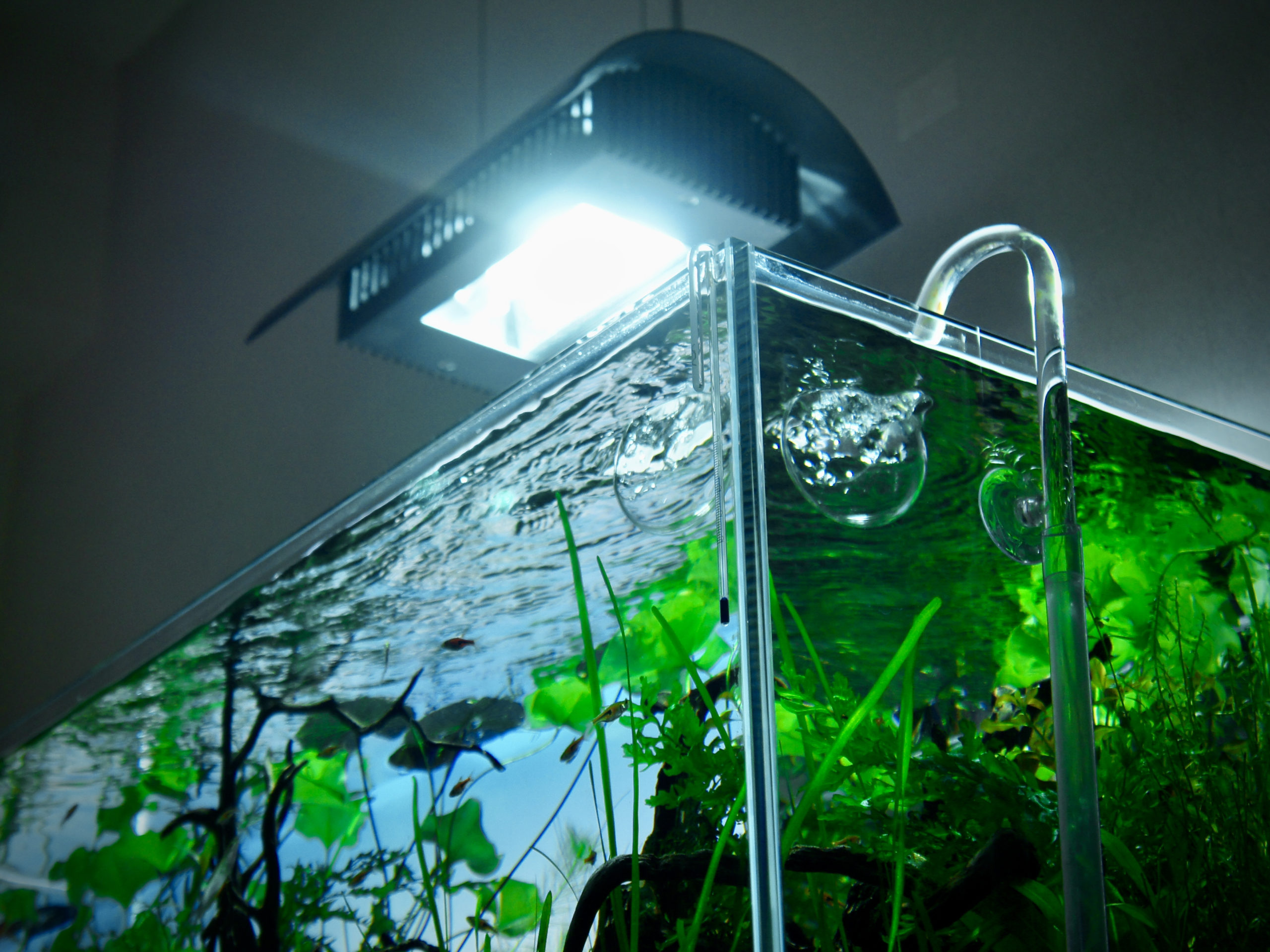 2021年にメタハラを買うのはあり? ADA ソーラーIのレビュー - The