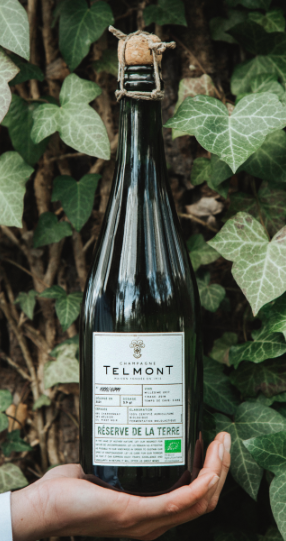 ブラン・ド・ブラン ヴィノテーク – Champagne Telmont Japon