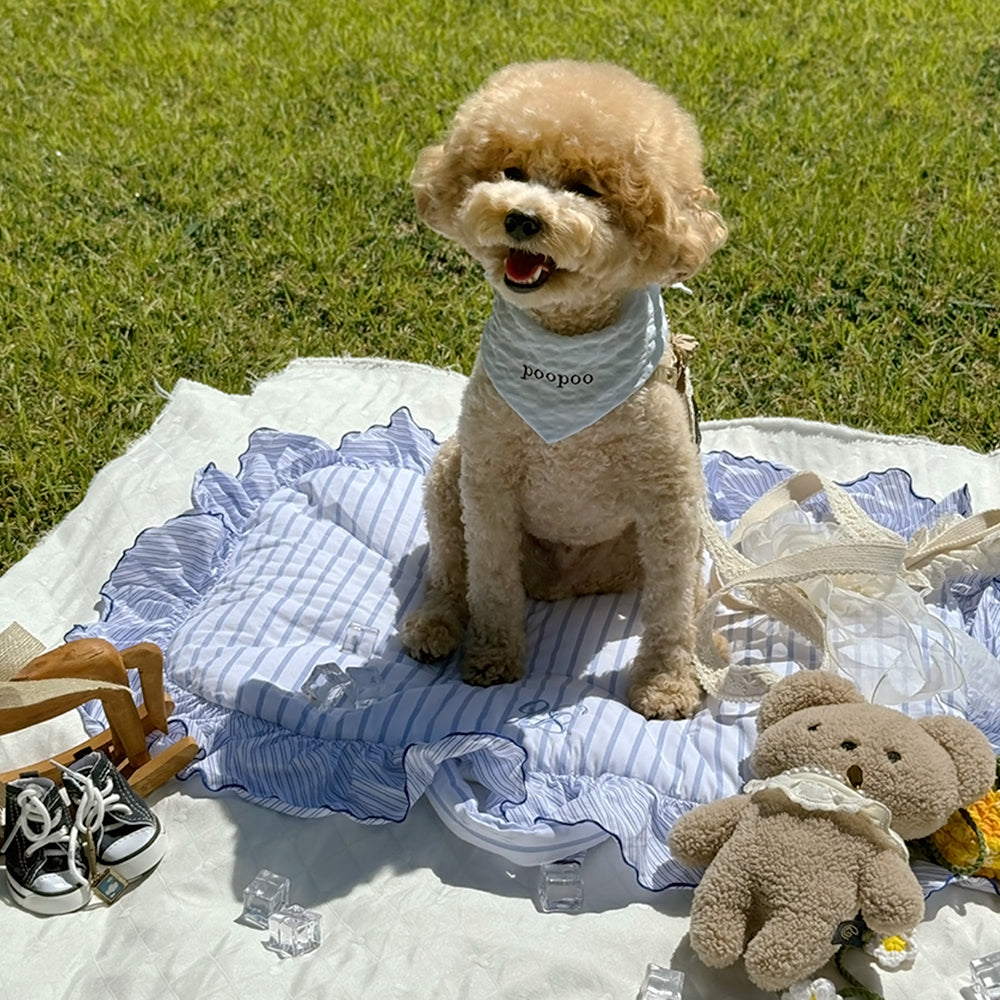 コースター、カフェマット｜HARRYSPET（ハリースペット）公式通販