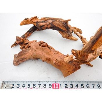 アク抜き流木 やまと錦魚園 実験関連品 【通販モノタロウ】