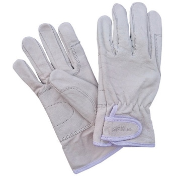 はちぼう ご質問はお気軽に(о´∀`о) 1206030 はちぼう ご質問はお気軽