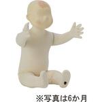 こどもトルソー 【通販モノタロウ】 マネキン/ボディ/トルソー