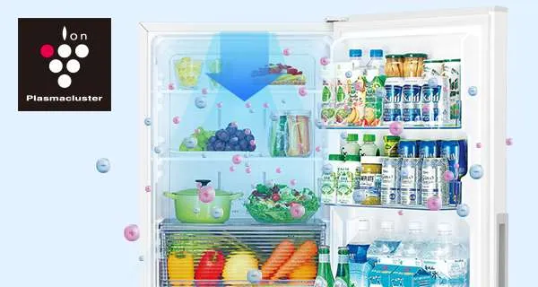 シャープ冷蔵冷凍庫 SJ-PD31H-B 2022年製 SJ-PD31J | 冷蔵庫：シャープ