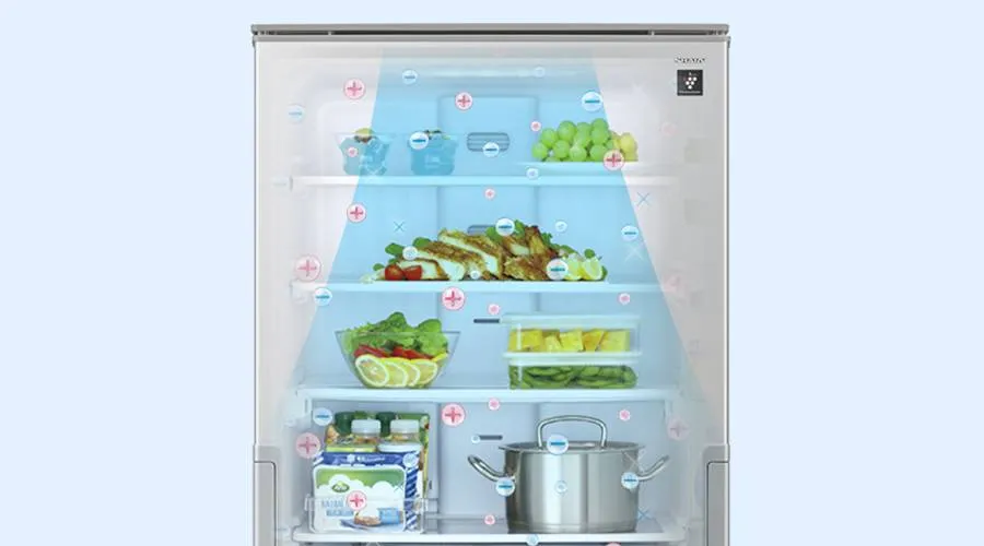 冷蔵室 | SJ-XW46P | 冷蔵庫：シャープ